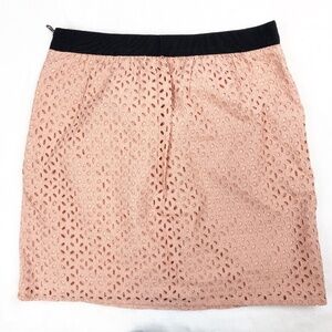 Ann Taylor Loft 100% Cotton Eyelet Skirt Blush Pink Sz 4
